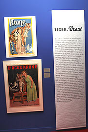 Fräulein Heiderich aus Dinslaken am Niederrhein bewarb sich beim Circus Krone für den Job als Cilly - die "Tiger-Braut", und bekam ihn 1931 dann auch . Die ganze Erfahrung bis dahin: der Umgang mit Hühnern und Katzen. (Foto: Martin Schmitz)